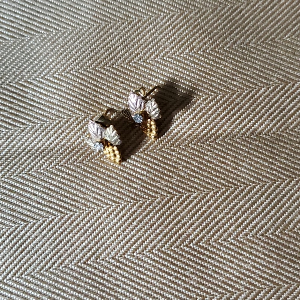Black Hills Tri color earrings
